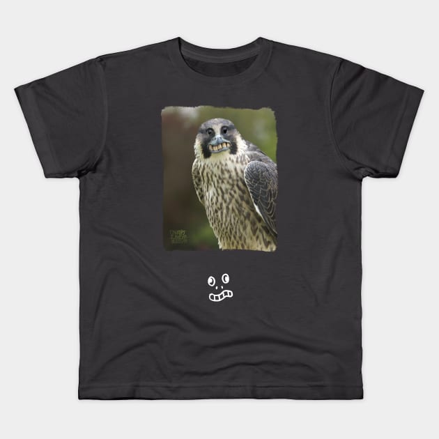 Peregrine Falcon Kids T-Shirt by Things I Have Drawn